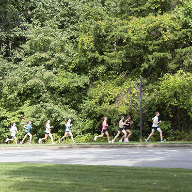 Eight Runners Motion Arrested Image